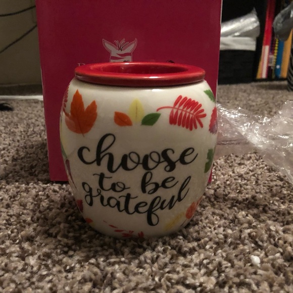 Pink Zebra Other - Brand new Pink Zebra Warmer